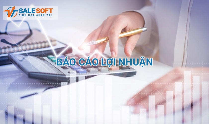 Báo cáo lợi nhuận 