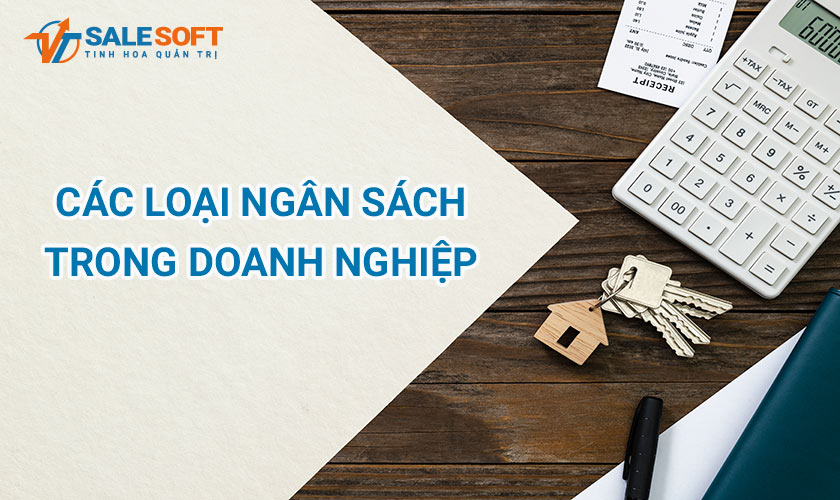 các loại ngân sách 